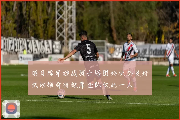 明日绿军迎战骑士塔图姆状态良好武切维奇将缺席全队仅此一人